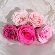 Cvijet od Sapuna za Rukotvorine - (5-slojna) Romantična Ruža - Postupni Prijelaz - Pink Blush