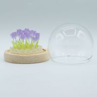 LED cvjetna kupola s 20 tulipana – USB