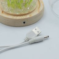 LED cvjetna kupola s 20 tulipana – USB