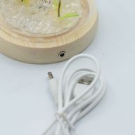 LED cvjetna kupola s 2 maslačka – USB