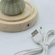 LED cvjetna kupola s 3 morska ježa – USB