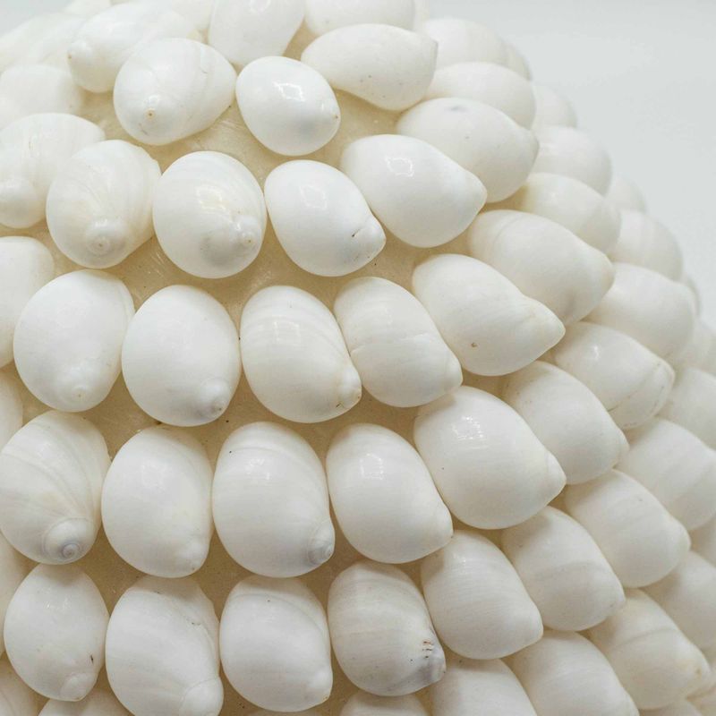 Boho lampa od morskih školjki - Buting Shell Oval - 15cm