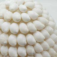 Boho lampa od morskih školjki - Buting Shell Oval - 15cm