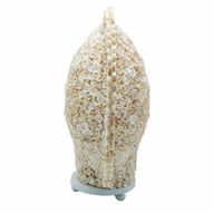Boho lampa od morske školjke - izrezana umjetnička školjka, velika okrugla - 30 cm