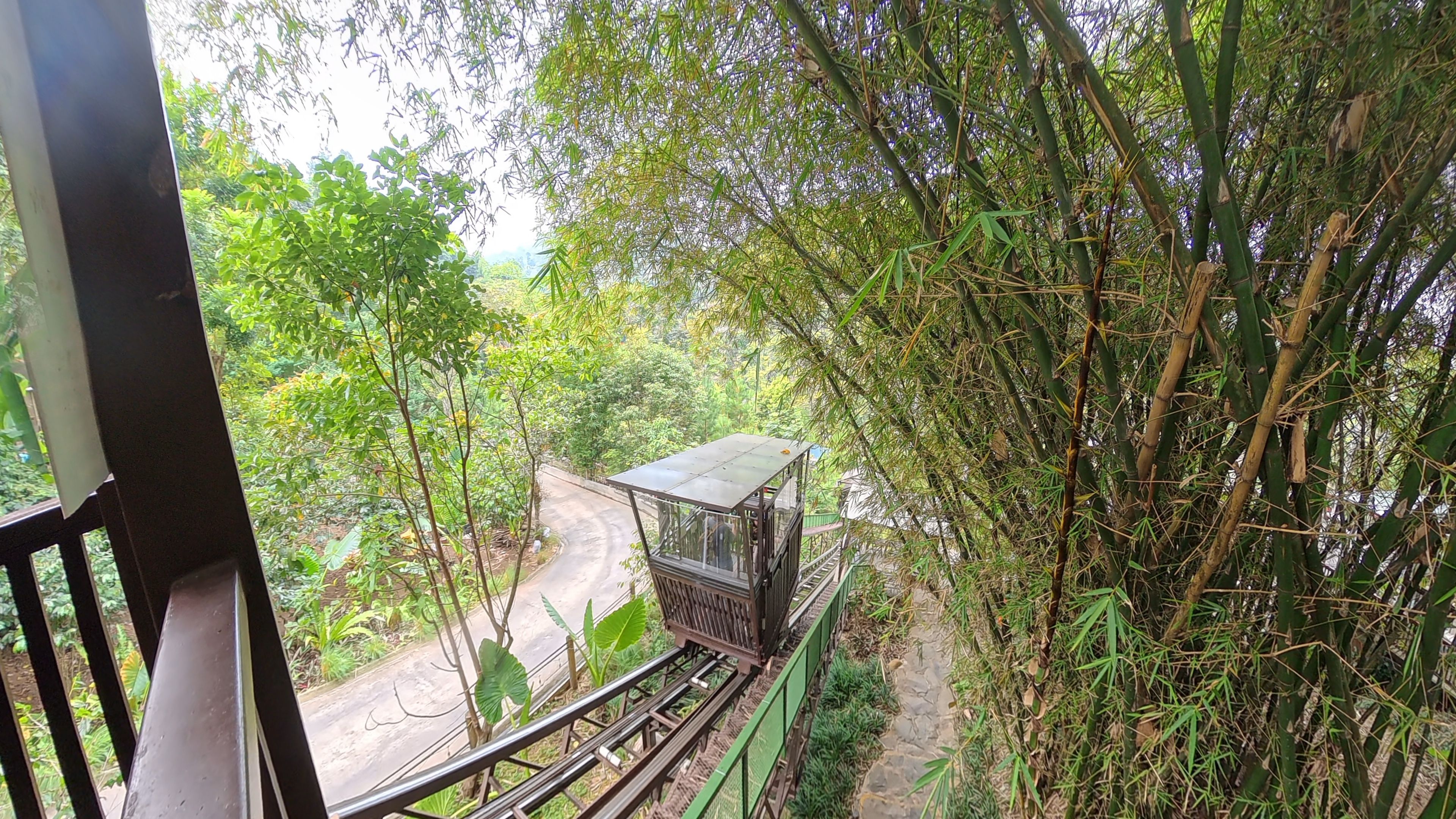 train to treehouse.jpg