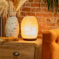 Crystal Rock Himalajska solna lampa - i baza približno 8-10 kg