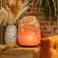 Kvalitetna velika prirodna solna lampa - otprilike 24-26 kg