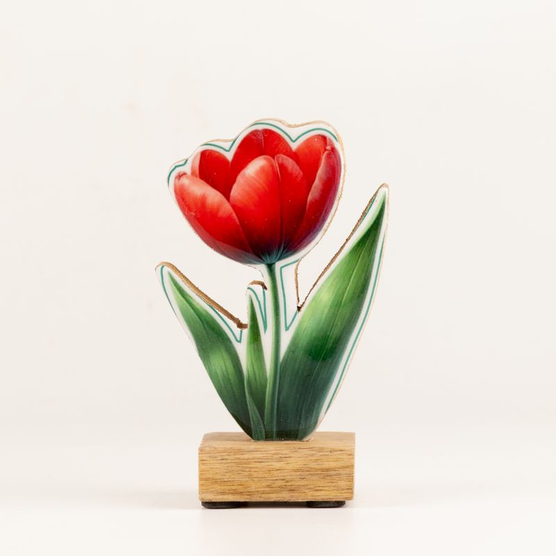 Drvene sobne biljke - mini tulipan