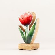 Drvene sobne biljke - mini tulipan