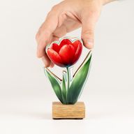 Drvene sobne biljke - mini tulipan