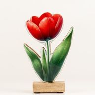 Drvene sobne biljke - srednji tulipan