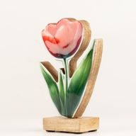 Drvene sobne biljke - srednji tulipan