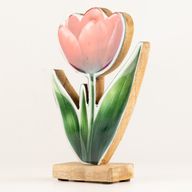 Drvene sobne biljke - veliki tulipan