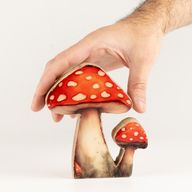 Drvene sobne biljke - Mini gljiva crvenkapica