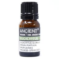 Organsko Eterično Ulje Eukaliptusa 10ml