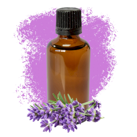 10x Lavanda 50ml - Bez Etikete