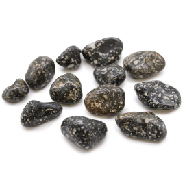 12x Srednje Afričko Kamenje - Jaspis Biserka