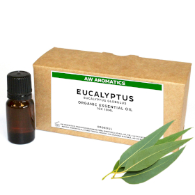 10x Eukaliptus - Organsko Eterično Ulje 10 ml - Neoznačeno
