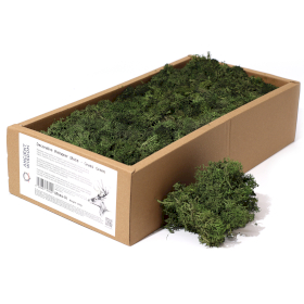 Kvalitetna Dekorativna Mahovina - Zelena Trava - 635g Kutija