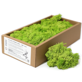 Kvalitetna Dekorativna Mahovina - Svijetla Trava - 635g Kutija