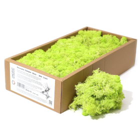 Kvalitetna Dekorativna Mahovina - Mint Zelena - 635g Kutija