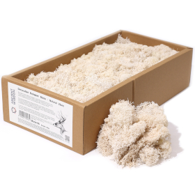Kvalitetna Dekorativna Mahovina - Prirodna - 635g Kutija