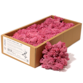 Kvalitetna Dekorativna Mahovina - Ružičasta - 635g Kutija