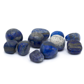 24x Polirano Kamenje - Lapis Lazuli