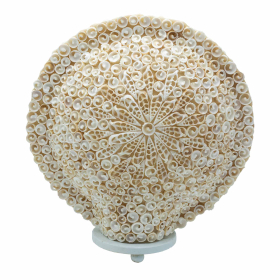Boho Lampa od Morskih Školjki - Cut Art Velika Okrugla - 30cm