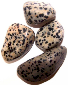 24x Veliko Polirano Kamenje - Dalmatinski Jaspis
