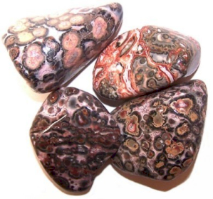 24x Veliko Polirano Kamenje - Leopardova koža - Jaspis