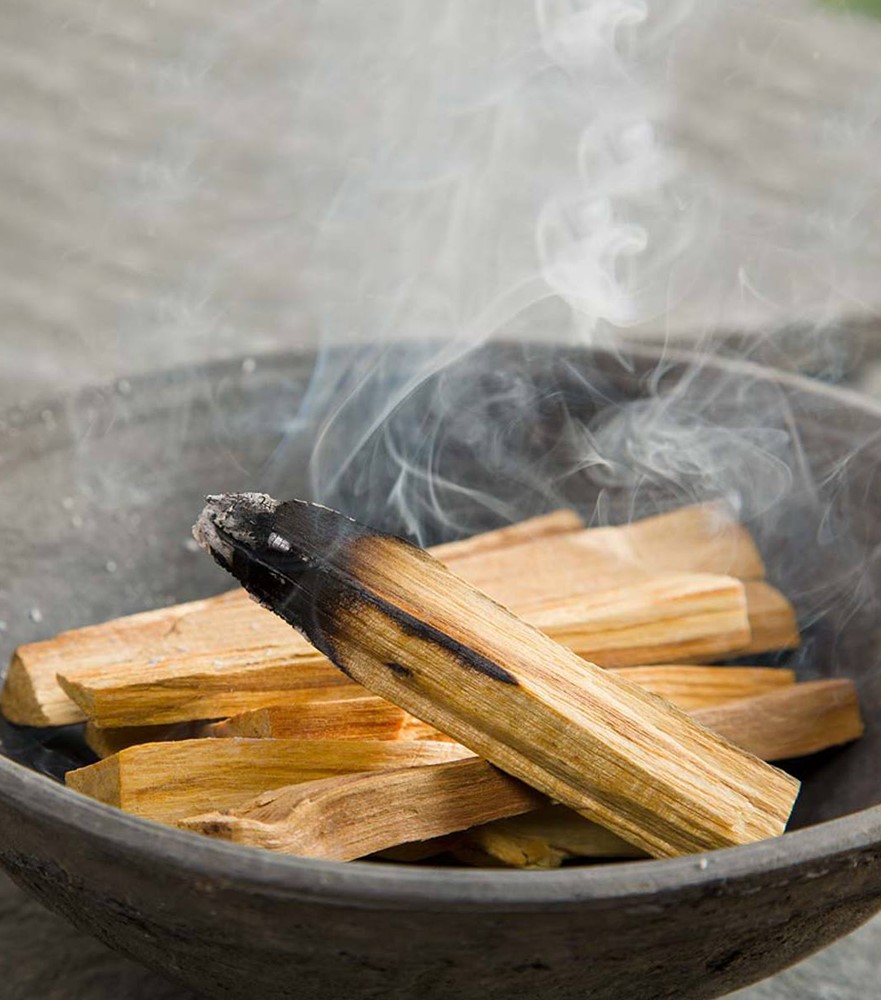 Veleprodaja Zelenog Drva Palo Santo