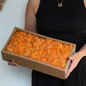 Kvalitetna Dekorativna Sobova Mahovina - Kutija od 635g