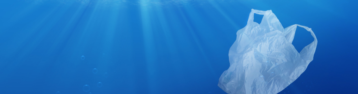 Odbacite Plastiku, Uštedite Novac: Zašto su Višekratne Vrećice Vaš Novi Najbolji Prijatelj